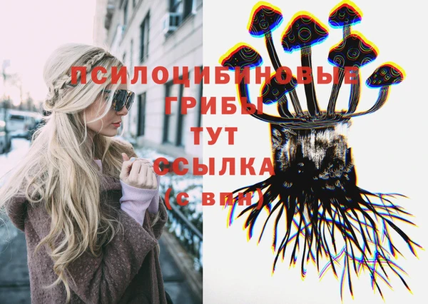 соль ск Алзамай